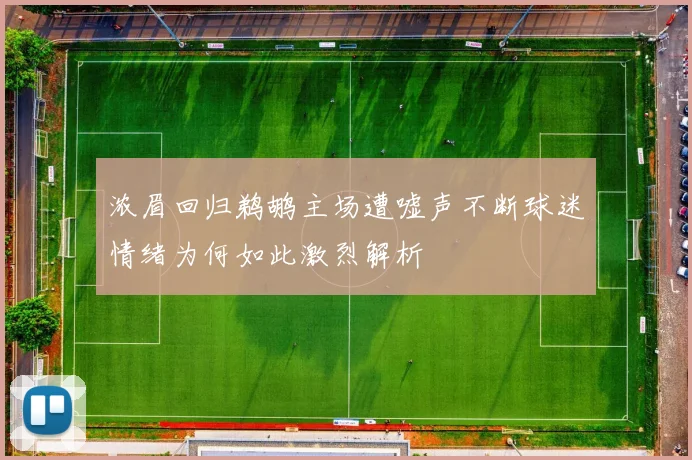 浓眉回归鹈鹕主场遭嘘声不断球迷情绪为何如此激烈解析