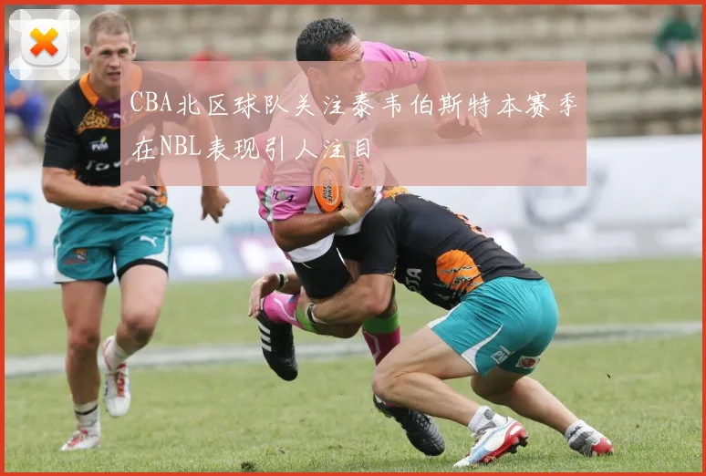 CBA北区球队关注泰韦伯斯特本赛季在NBL表现引人注目